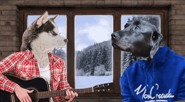 a man with a husky head is playing a guitar next to a dog wearing a blue sweatshirt that says you crack