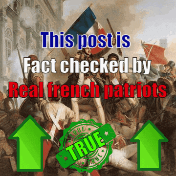 a painting of soldiers with the words " this post is fact checked by real french patriots "