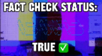 a picture of a person with the words " fact check status true "