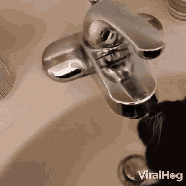 Cat Drinking Water Viralhog GIF - Cat Drinking Water Viralhog Take A Sip GIFs