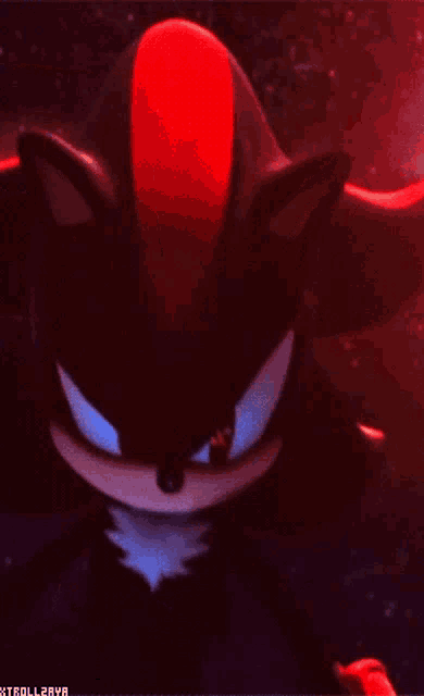 a close up of shadow the hedgehog 's face with a red circle in the middle
