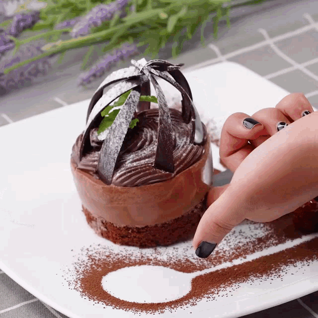 a white plate topped with a chocolate dessert and a spoon drawn on it