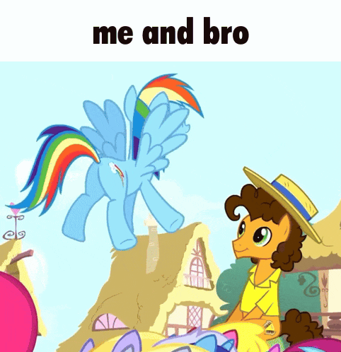 a picture of a rainbow dash and a pony with the words me and bro below it