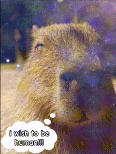 Capybara Jensen Ackles GIF - Capybara Jensen Ackles Animals GIFs