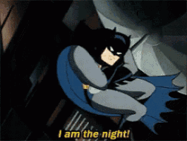 a cartoon batman says i am the night