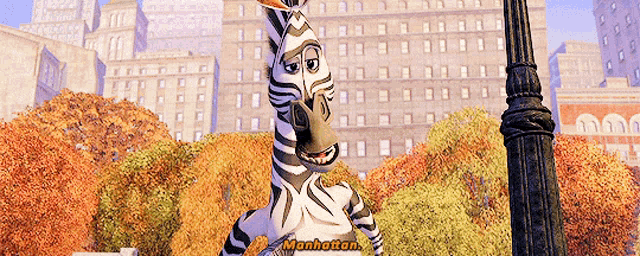 a cartoon zebra says manhattan in front of a cityscape