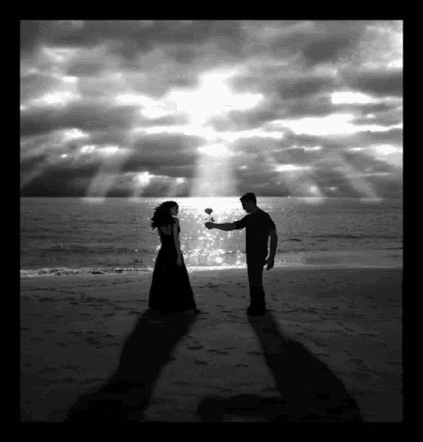 a man giving a rose to a woman on the beach
