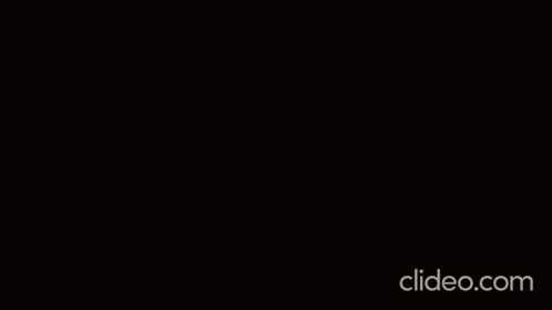 a logo for circuito music with a crown and a horse