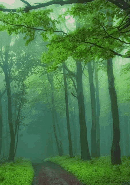 a man with glasses is standing in a forest with a shirtless man in the background