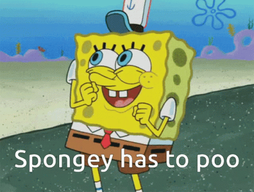 Spongey GIF - Spongey GIFs