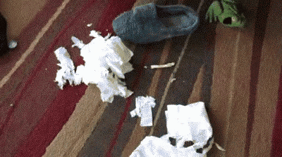 a pile of tissues and a pair of slippers on a rug