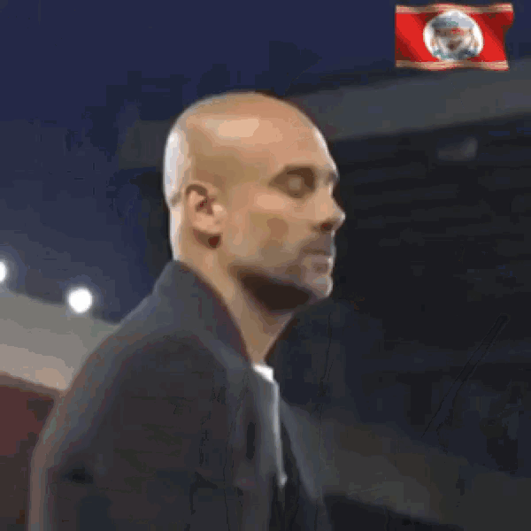 a bald man in a suit stands in front of a flag with ffs written on it