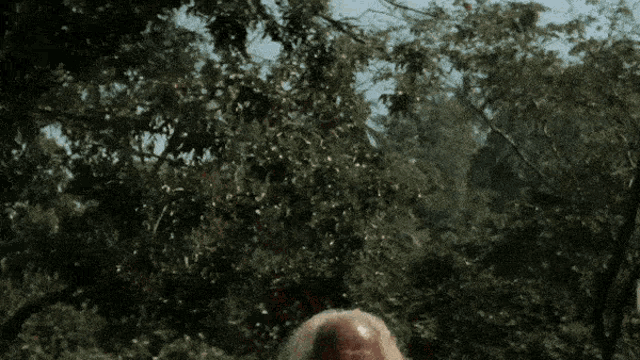 a man with a bald head and white hair stands in a forest