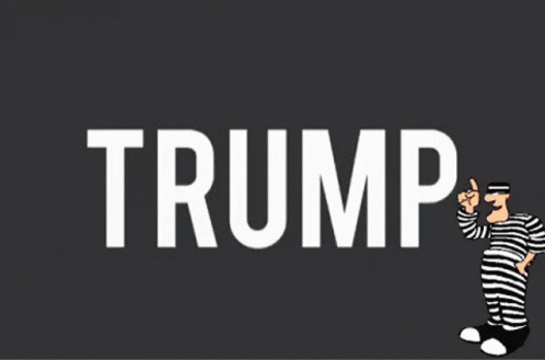 Trump Is A Criminal Randi Lepore GIF - Trump Is A Criminal Randi Lepore Donald GIFs