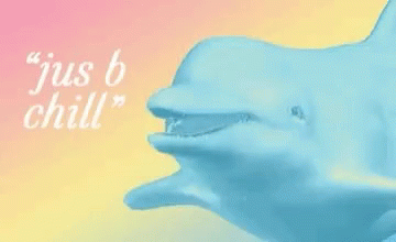 Just Be Chill Dolphin GIF - Just Be Chill Dolphin Talk GIFs