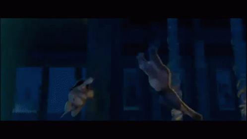 Oogway Recycle GIF - Oogway Recycle GIFs