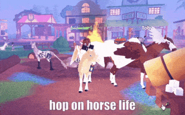 a screenshot of a video game with the words hop on horse life