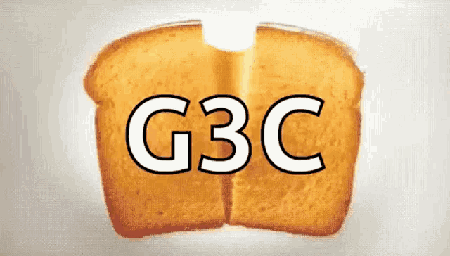 a slice of bread with the letters g3c on it