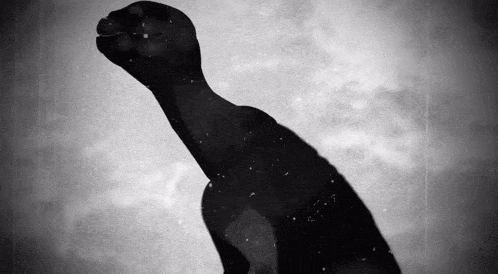 a black and white photo of a person 's fist