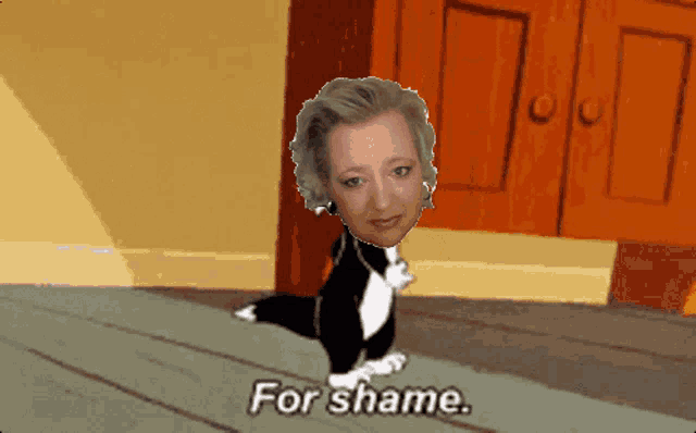 a cartoon cat says " for shame " in front of a woman 's head