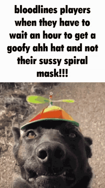 a dog wearing a colorful hat with a propeller on it