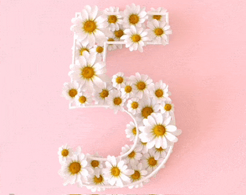 the number 5 is made out of white daisies on a pink background