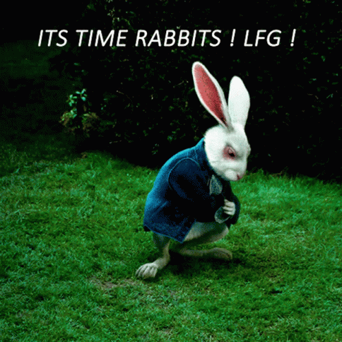 Ordinalrabbits Lfg GIF - Ordinalrabbits Rabbit Lfg GIFs