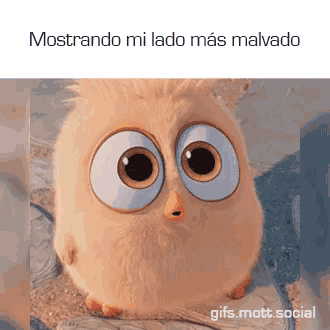 a picture of an owl with big eyes and the words mostrando mi lado mas malvado below it