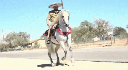 Horse Charro GIF - Horse Charro Cowboy GIFs