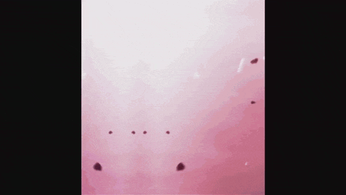 a drawing of a person standing on a pink surface