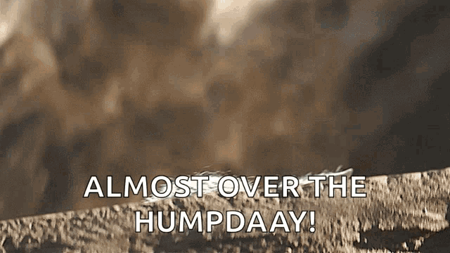 a sign that says almost over the hump daay in white letters