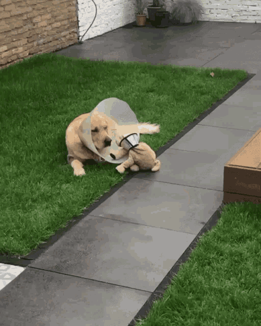 Dog Friends Forever GIF - Dog Friends Forever Love You GIFs