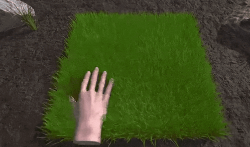 a person 's hand is touching a patch of green grass in the dirt .