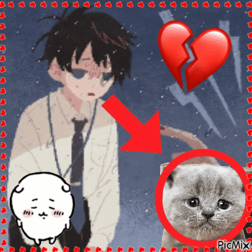 a picture of a boy with a broken heart and a picture of a sad cat