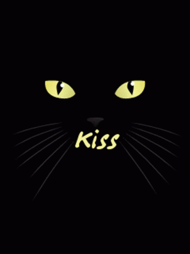 Cat Kiss GIF - Cat Kiss Luick GIFs