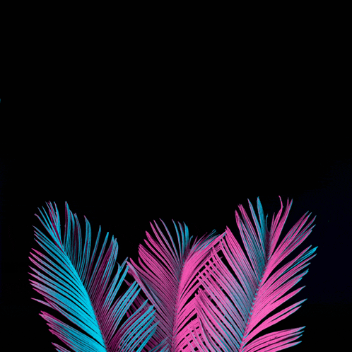 a neon sign that says kadim ailesi odasina hosgeldiniz