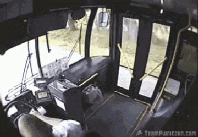 Deer Gets A Free Bus Ride GIF - Bus Bus Ride Deer GIFs