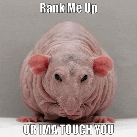 a hairless rat with the words rank me up or ima touch you written on it