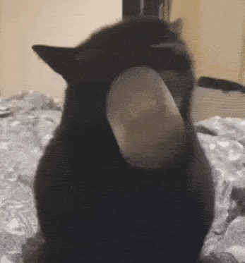 a black cat is sitting on a bed with its head on a blanket .