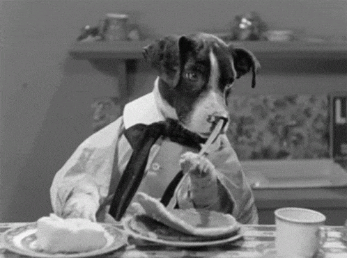 a black and white photo of a dog wearing a tie eating pancakes .