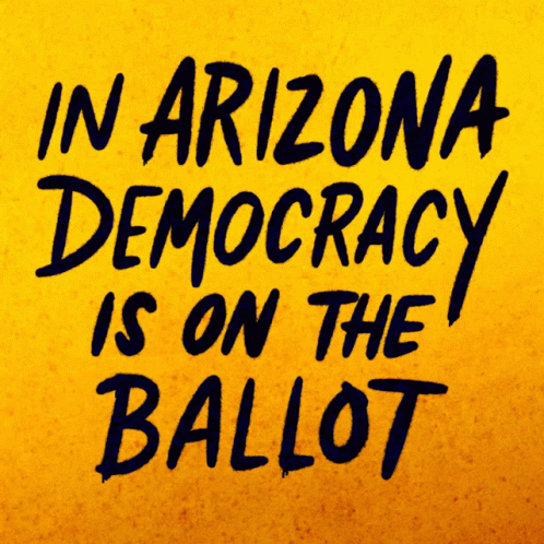 Arizona Election Heysp GIF