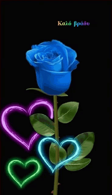 a blue rose with glowing hearts around it on a black background .