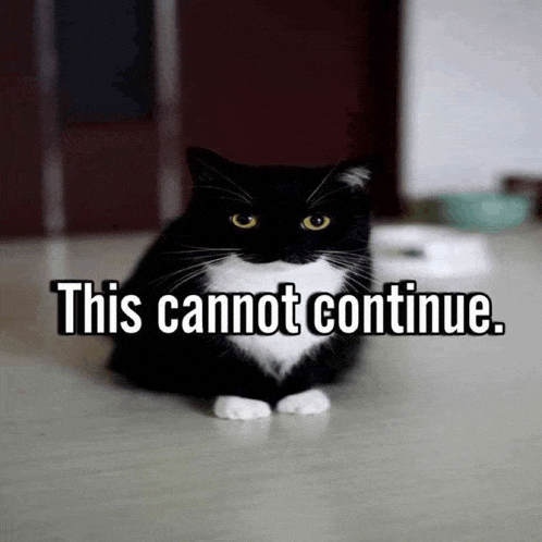 a black and white cat sitting on the floor with the words this cannot continue below it