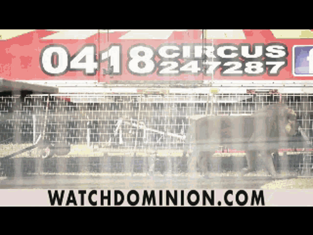 Dominion Dominion Movement GIF - Dominion Dominion Movement Watch Dominion GIFs
