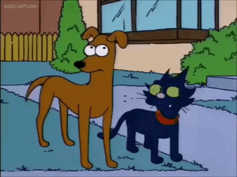 a cartoon dog and a black cat are standing next to each other
