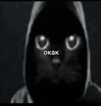 a black cat wearing a hoodie with the word okak written on the bottom