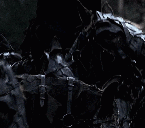 Lord Of The Rings Ready GIF - Lord Of The Rings Ready Lets Do This GIFs