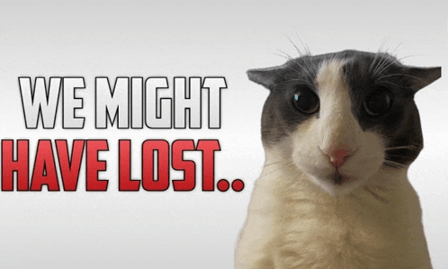 a black and white cat is standing in front of a sign that says " we might have lost "