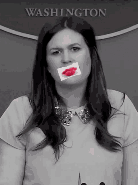 Sarah Huckabee Sanders Trump GIF