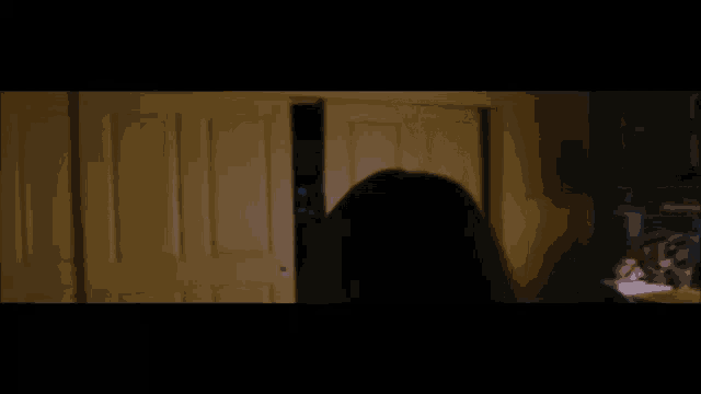a woman is standing in a dark room in front of a sliding door .